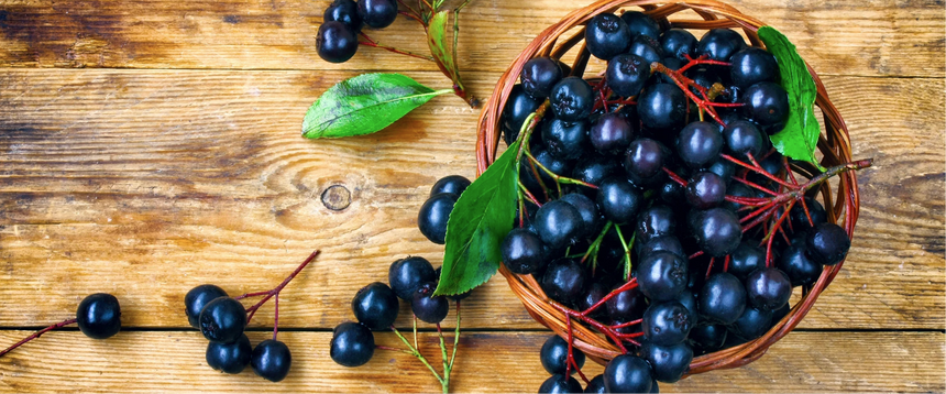 aronia berry