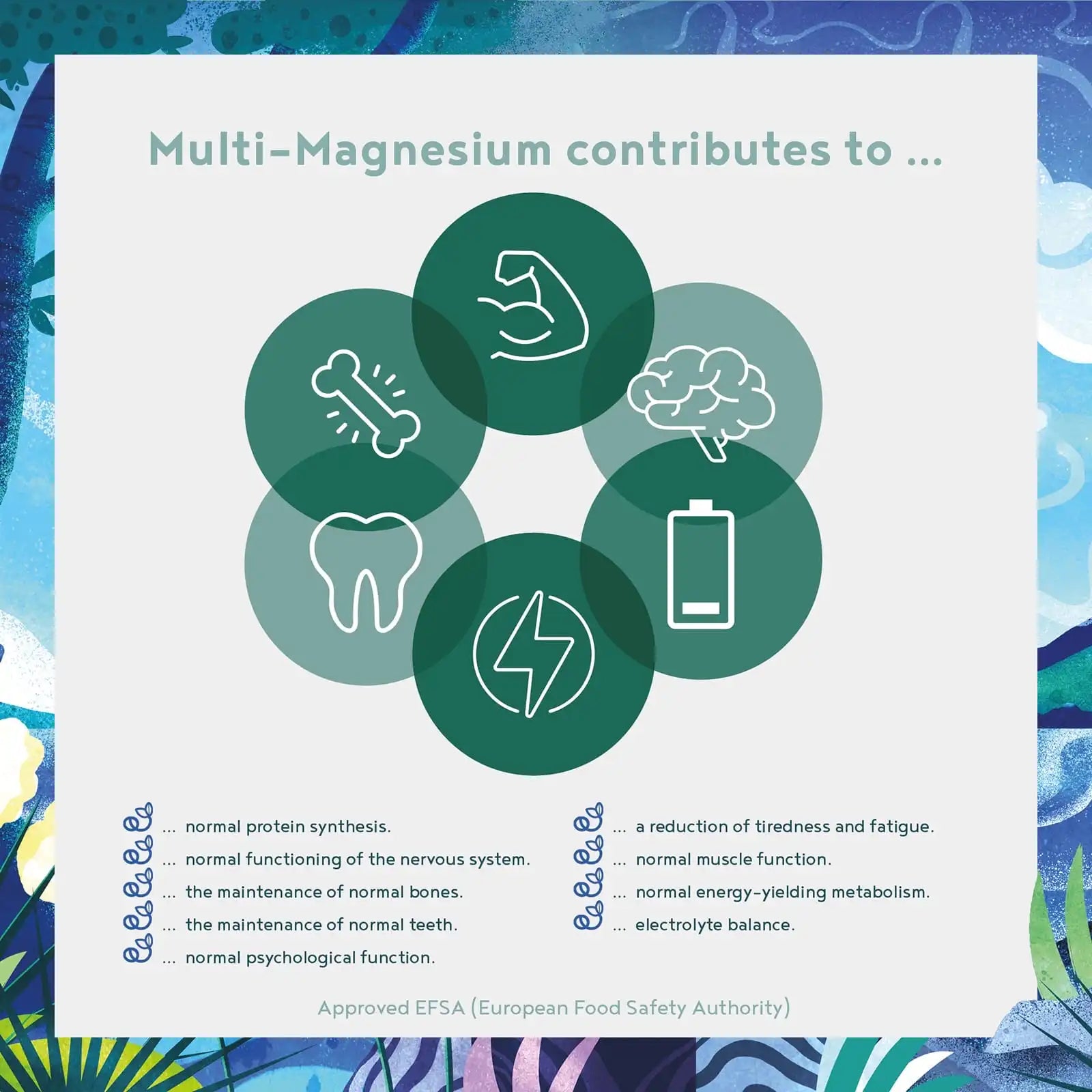 A+ One - Multi Magnesium