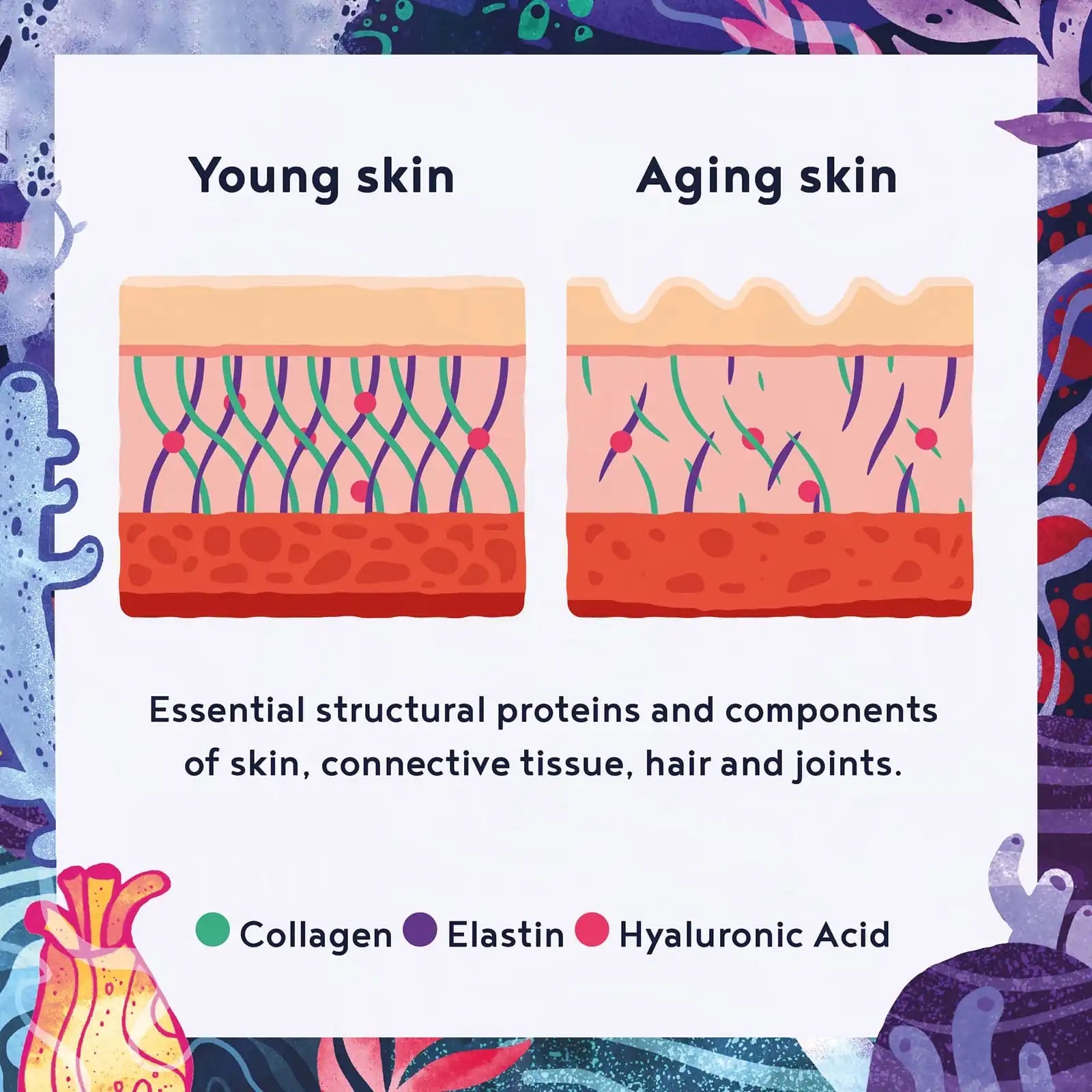 A+ One - Marine Collagen
