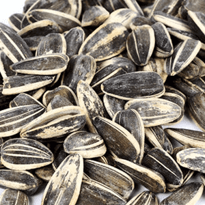 <p>Sunflower seed protein