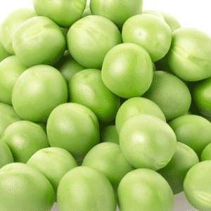 <p>Pea protein