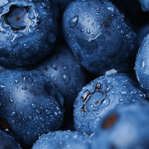 <p>Blueberry