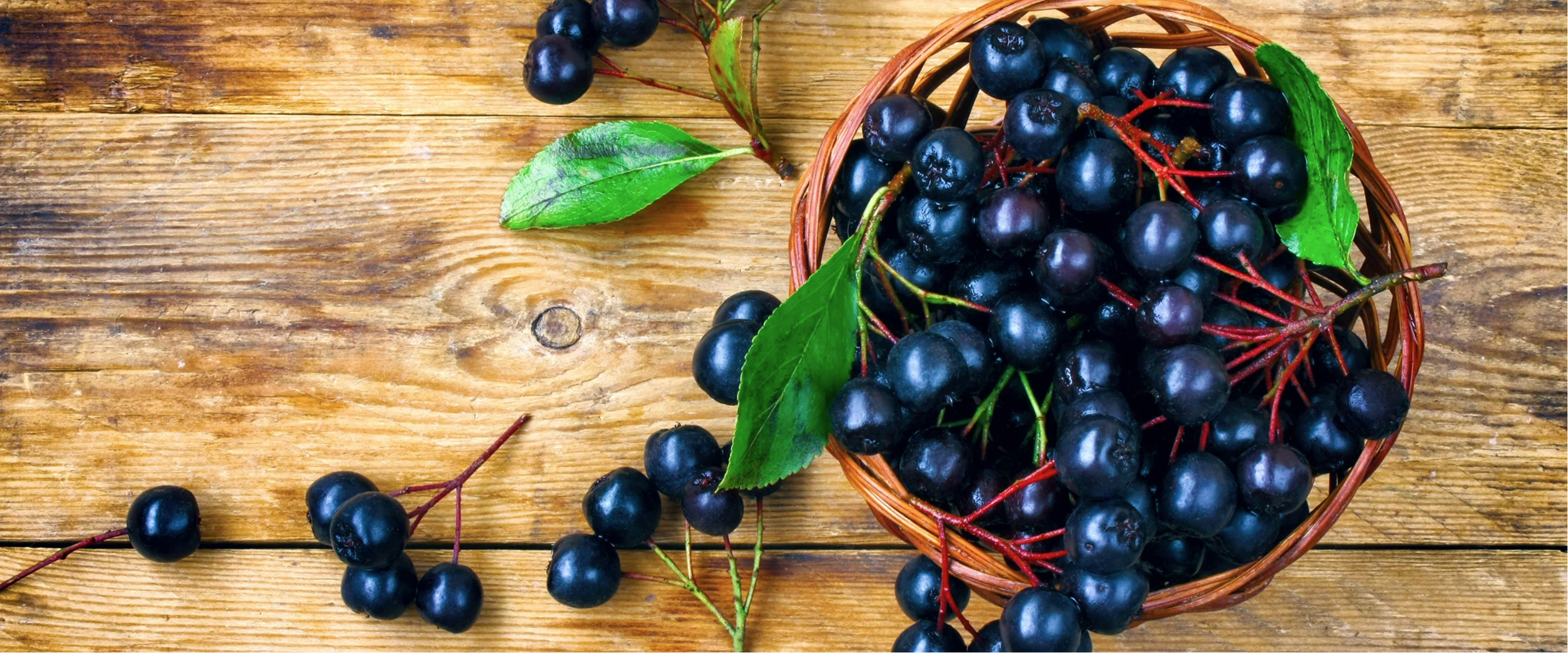Superfood Aronia: What is aronia berry good for?