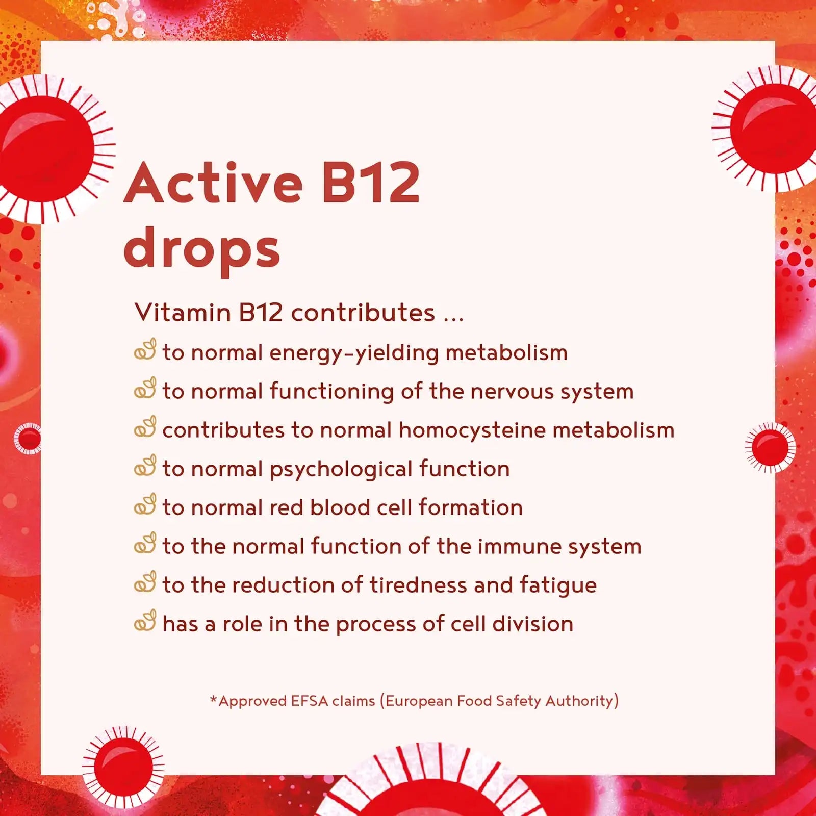 A+ One - Active B12