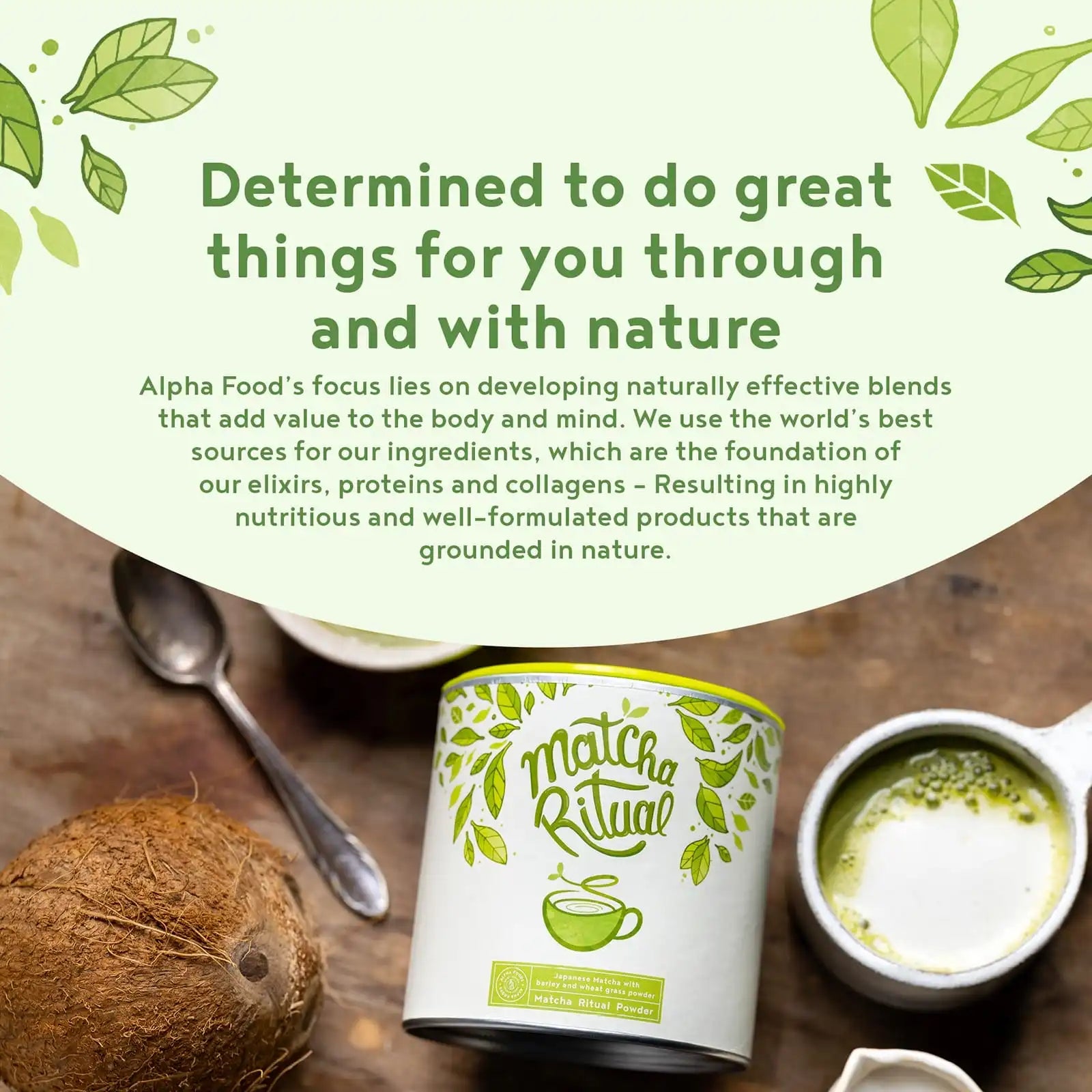 Matcha Ritual | Alpha Foods