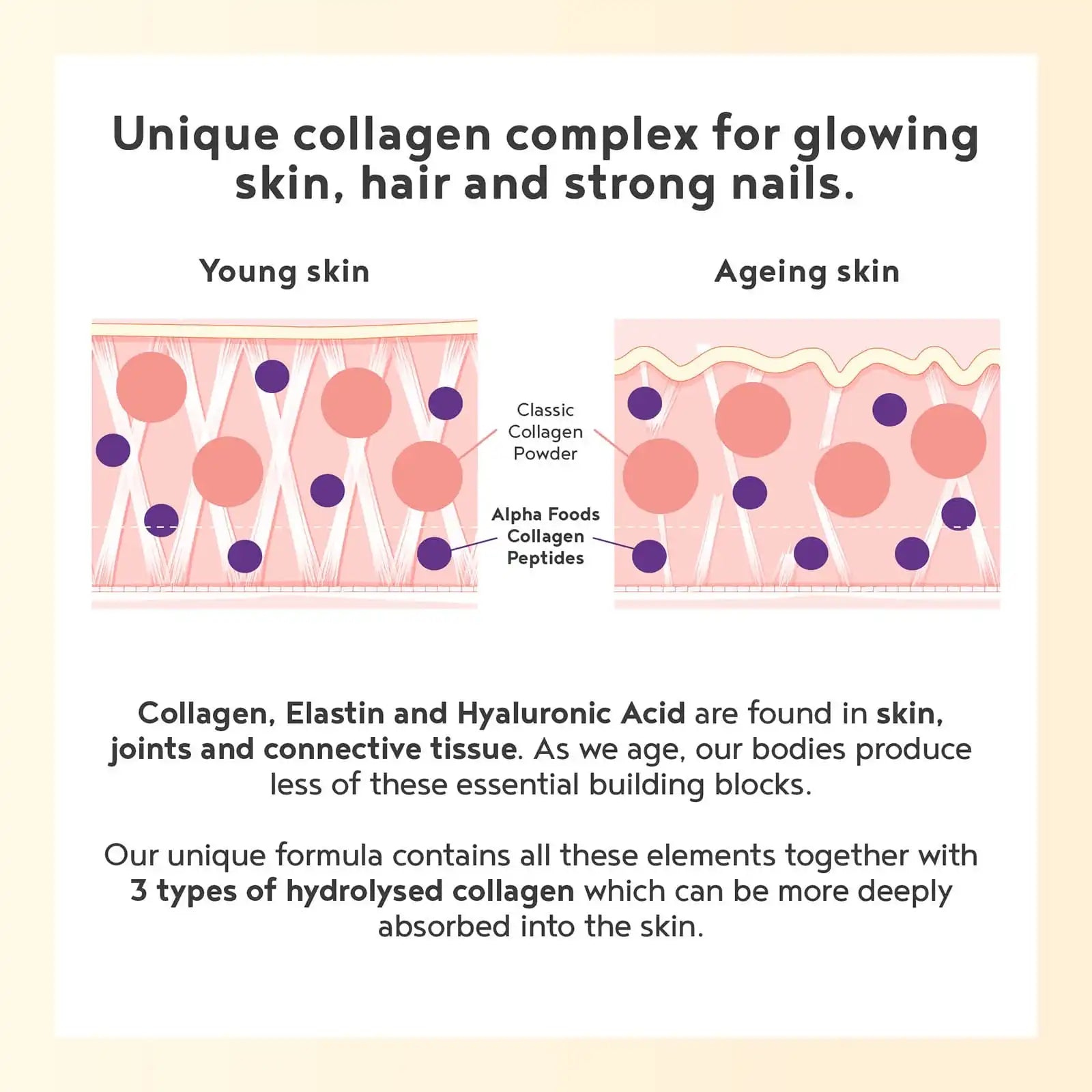 A+ Four - Chocolate Collagen