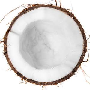<p>Coconut