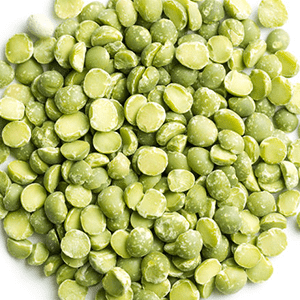 <p>Protein from peas