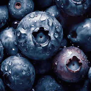 <p>Blueberry