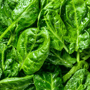 <p>Spinach