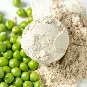 <p>Sprouted pea protein
