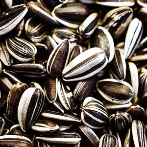 <p>Sprouted sunflower seeds
