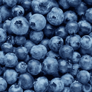 <p>Blueberry / Bilberry