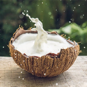 <p>Coconut milk