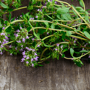 <p>Thyme