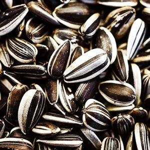 <p>Sprouted sunflower seed protein